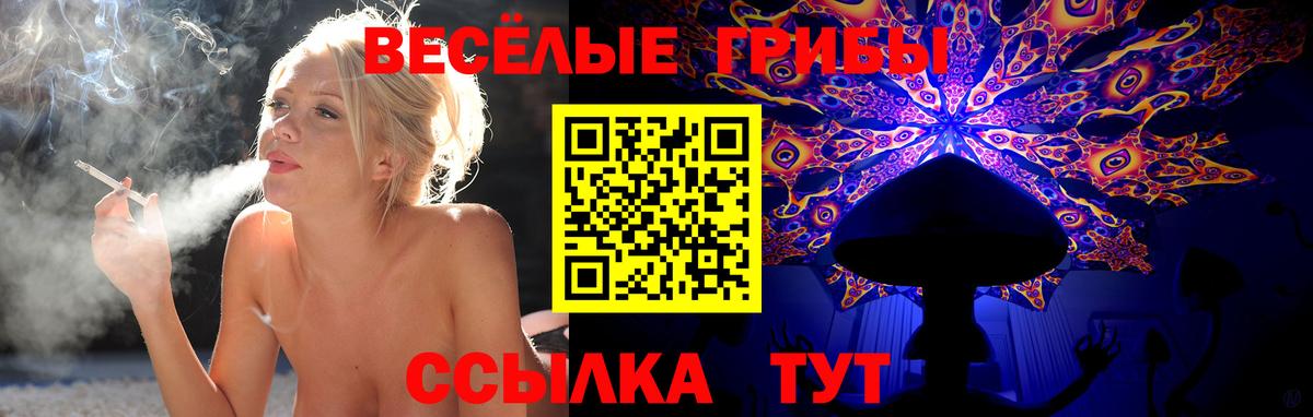 Армавир  Галлюциногенные грибы мицелий  Вход с VPN  Галлюциногенные грибы мицелий 