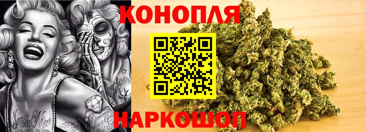 Марихуана план  Вход с VPN  Бошки марихуана индика  Бошки Шишки конопля  Конопля план  Армавир 